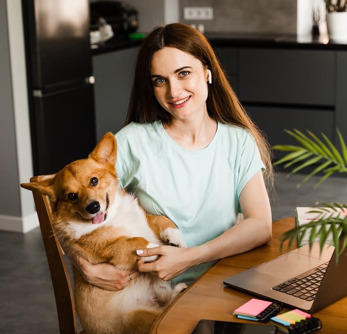 About Pet Paws
